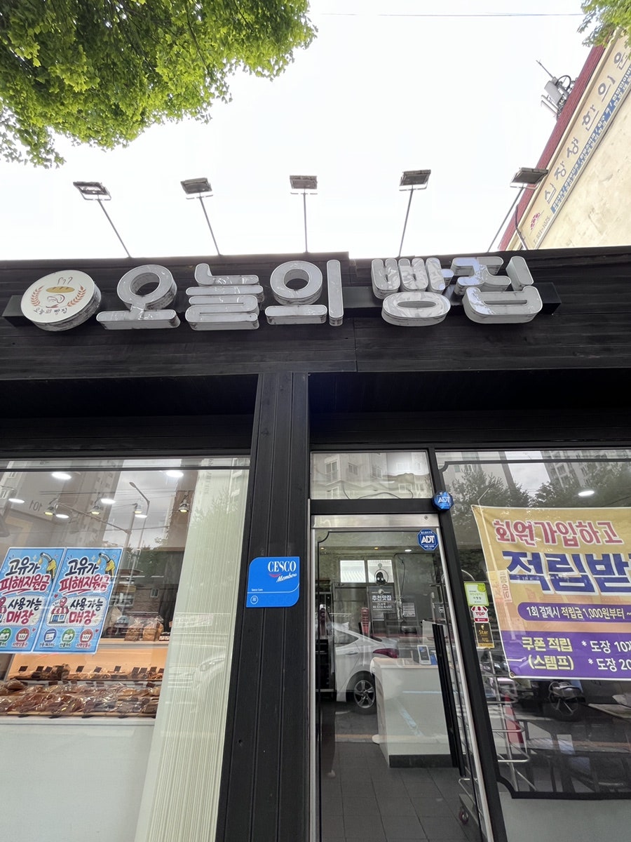 오늘의빵집 사진 1