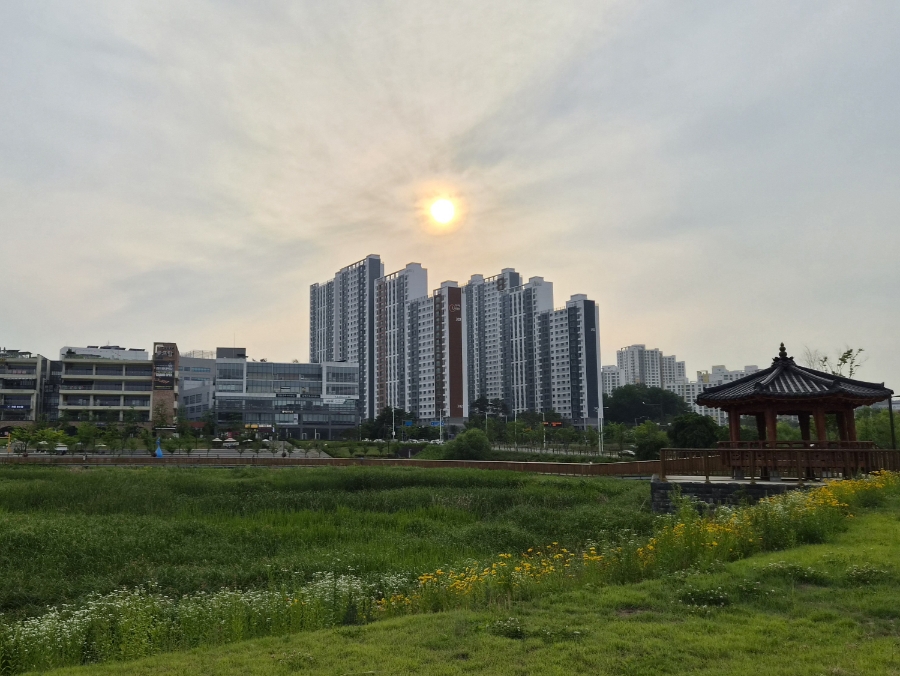 밤마실 사진 1