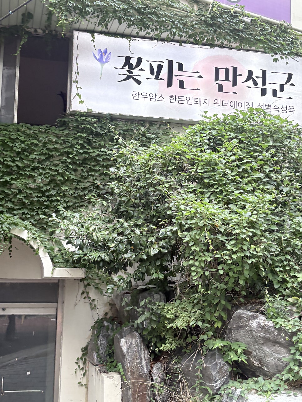 꽃피는만석군 사진 1