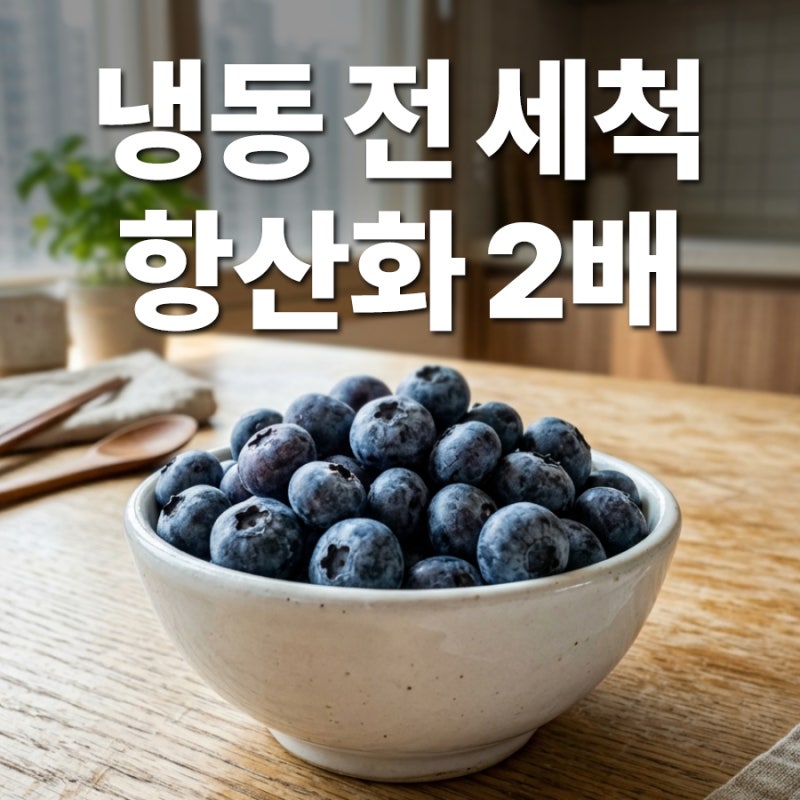 블루베리 씻어서 냉동할까? 항산화 성분 2배 높이는 보관 꿀팁