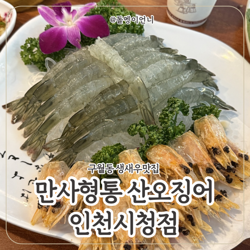 생새우회 찾는다면 구월동 맛집 “만사형통 산오징어 인천시청점”