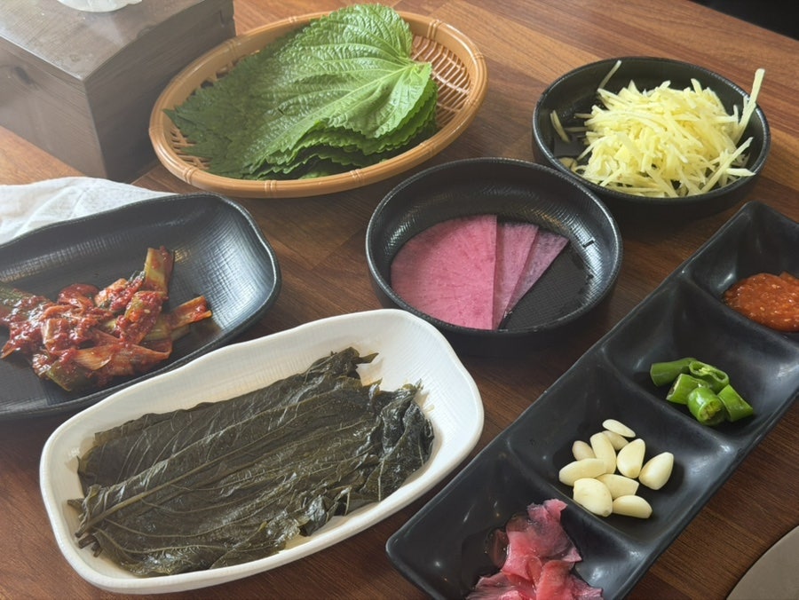황제장어 사진 5