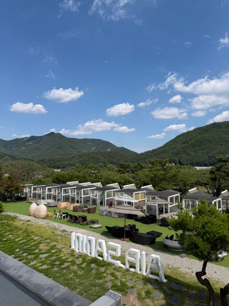 [동학사] 대전 근교 대형 카페, 에어산(애견동반 가능)