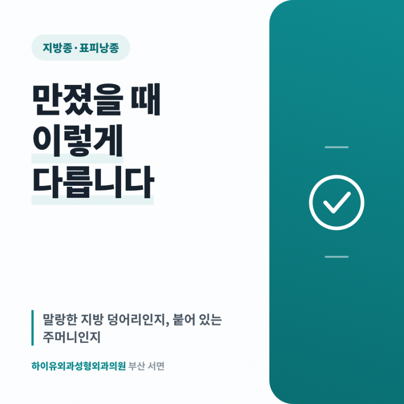 지방종 표피낭종 피지낭종 만졌을 때 다른 점