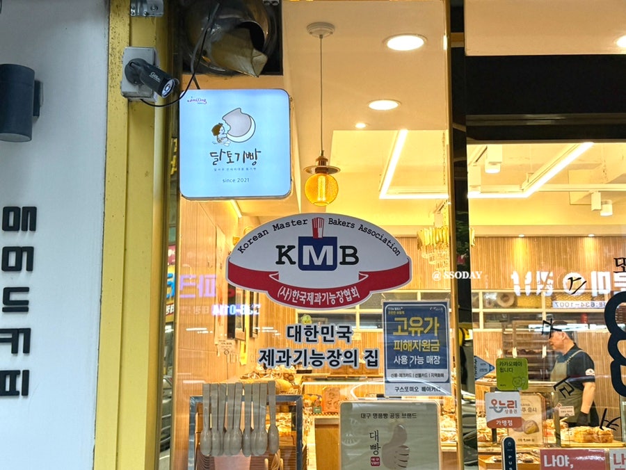 구스또미오 사진 4