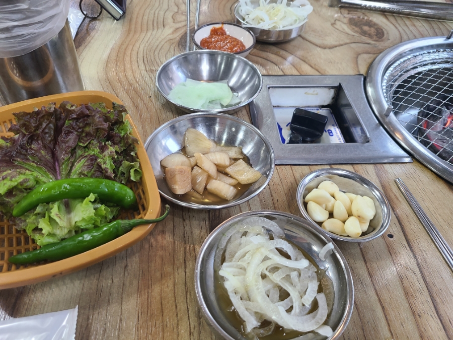 은행나무갈매기 사진 3