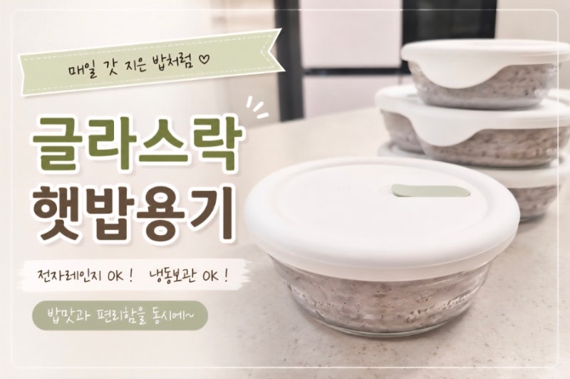 냉동밥 보관용기 추천, 글라스락 햇밥용기 300ml 사용 후기