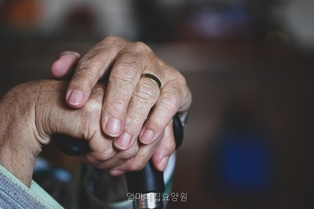 엄마네집 사진 2
