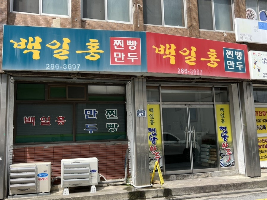 백일홍 사진 3