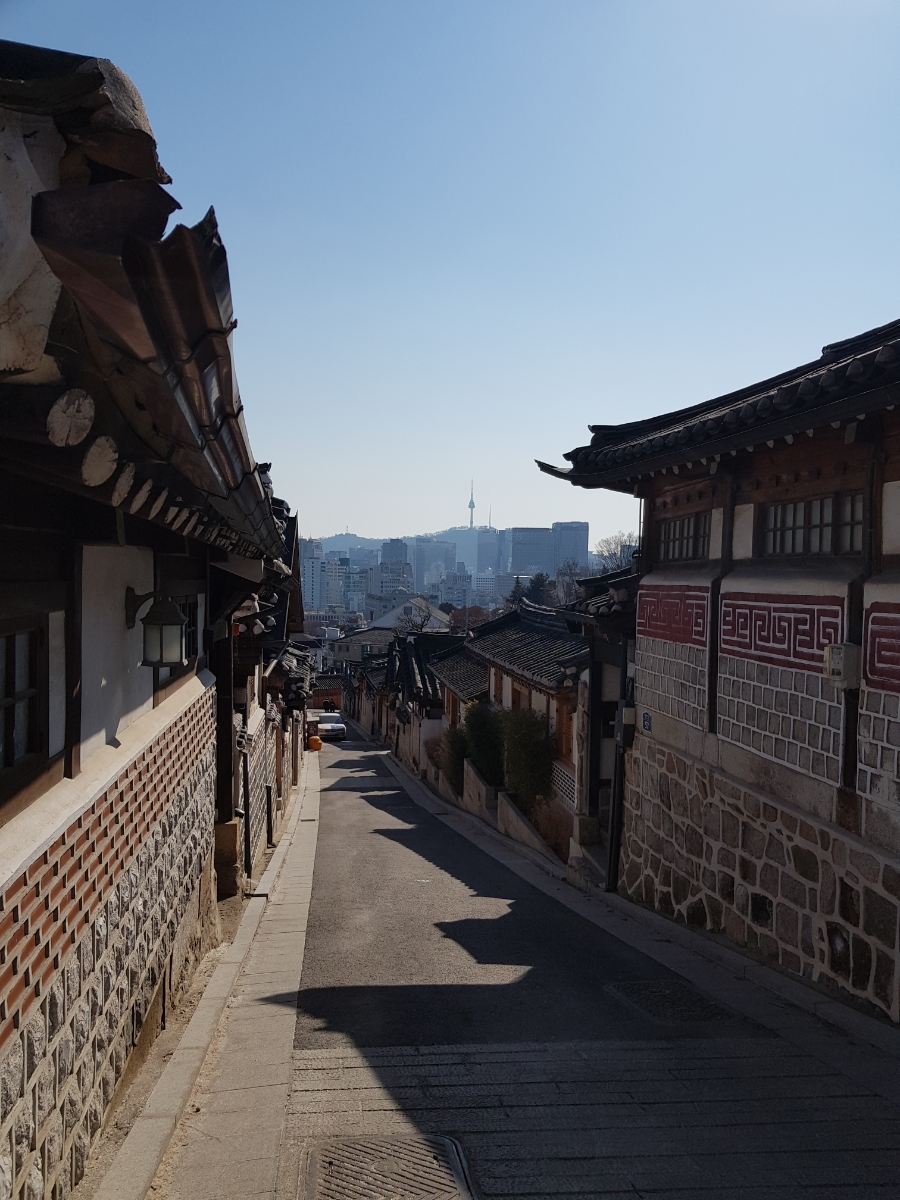 동네한바퀴 사진 2