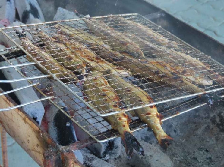 2026 <b>봉화은어축제</b>: 짜릿한 은어잡이부터 물놀이까지, 여름... 