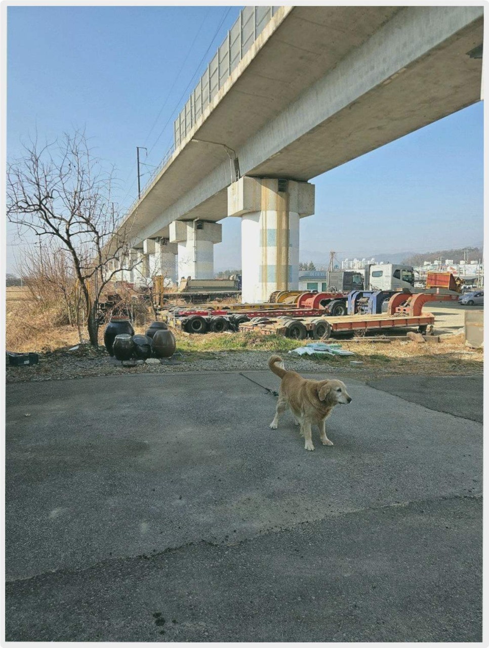 교동마당 사진 1