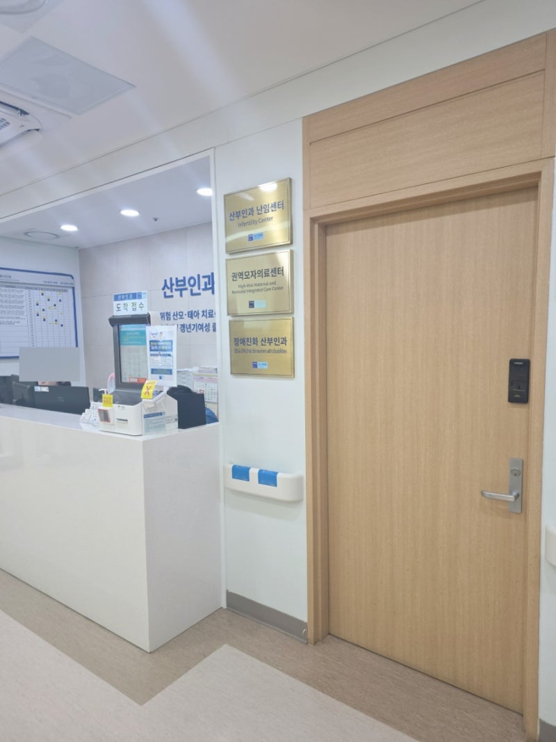 임신 중기 니프티검사 후기｜국민건강보험공단 일산병원 니프티검사 비용