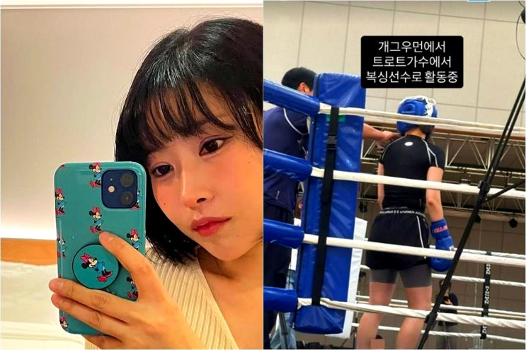 코미디언 이세영, 얼굴에 1억 투자하고 복싱 선수 변신…직업만 벌....