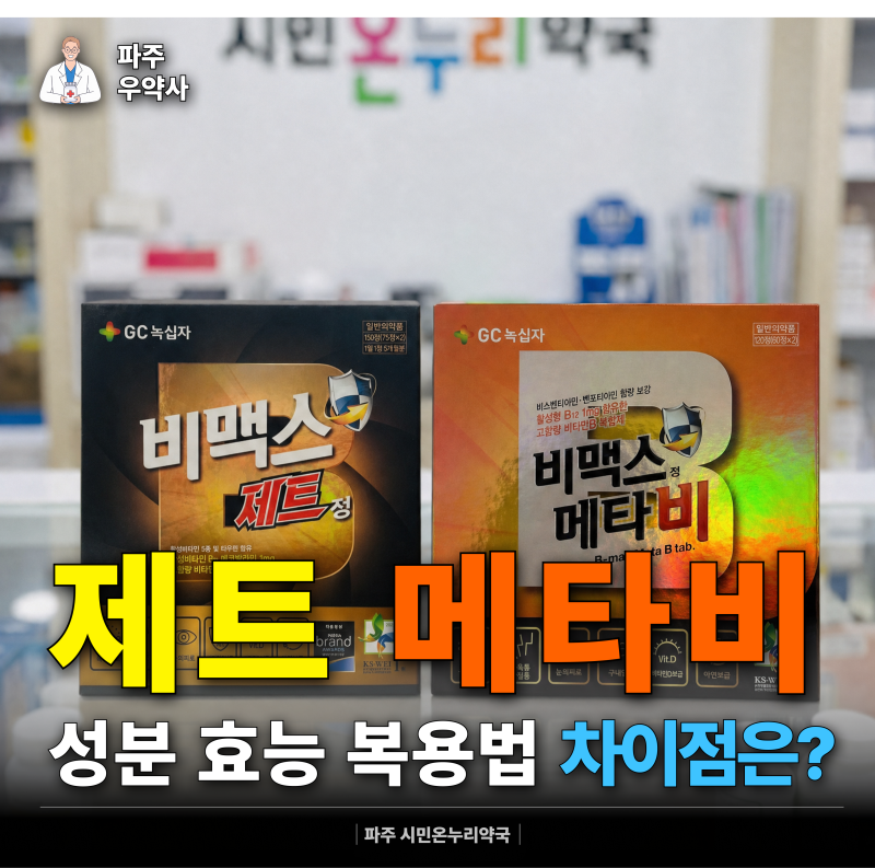 비맥스 메타비 제트 성분 효능 차이 비교 복용법 파주