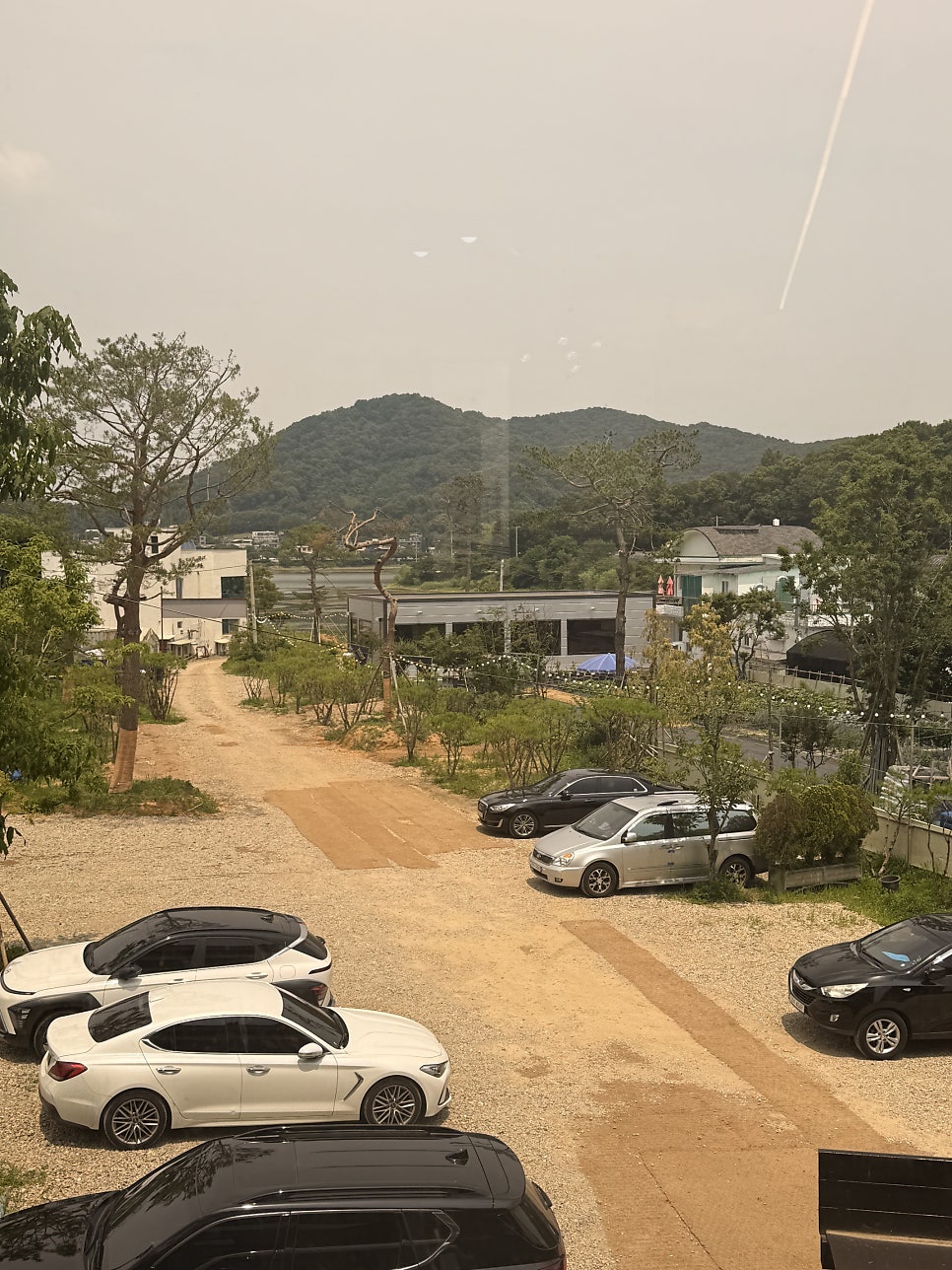화덕에누운고등어 사진 2
