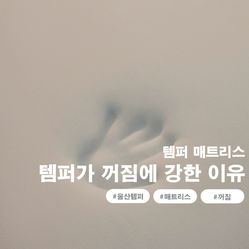템퍼 vs 스프링 매트리스, 왜 템퍼가 꺼짐에 더 강할까? (매트리스의 수명을 결정하는 핵심 원....