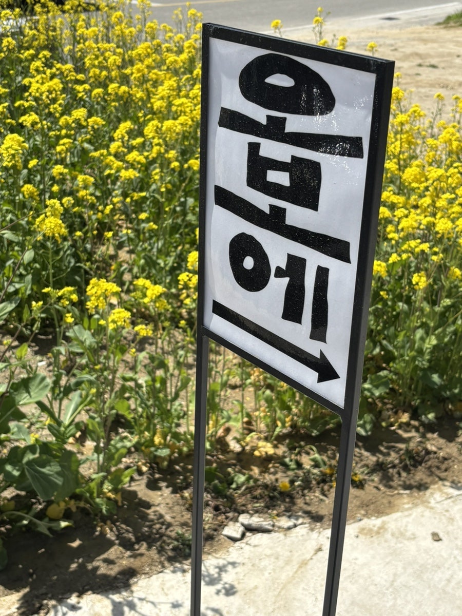 오보에 사진 2