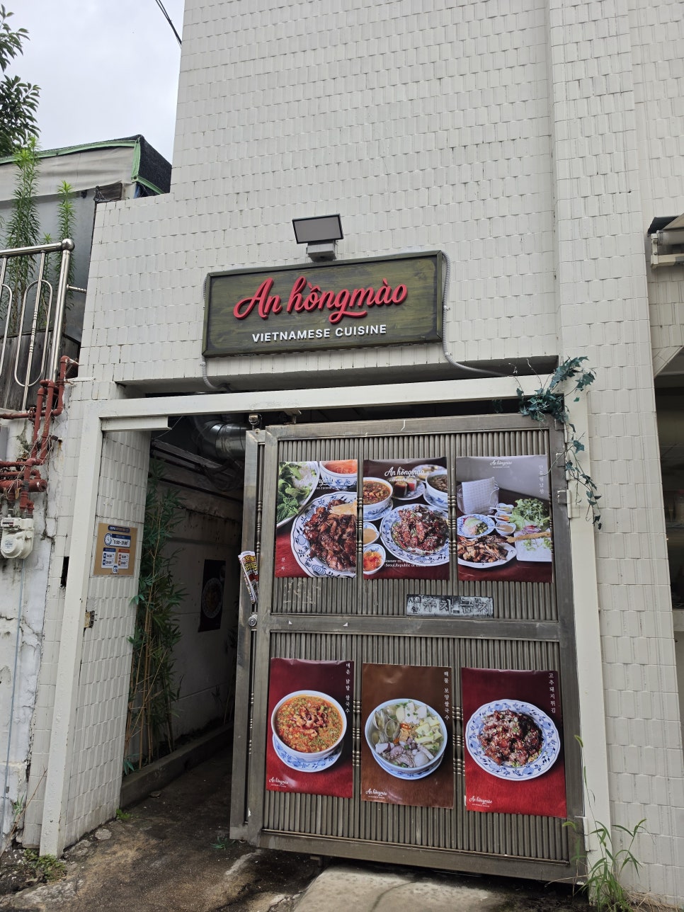 안홍마오 사진 3