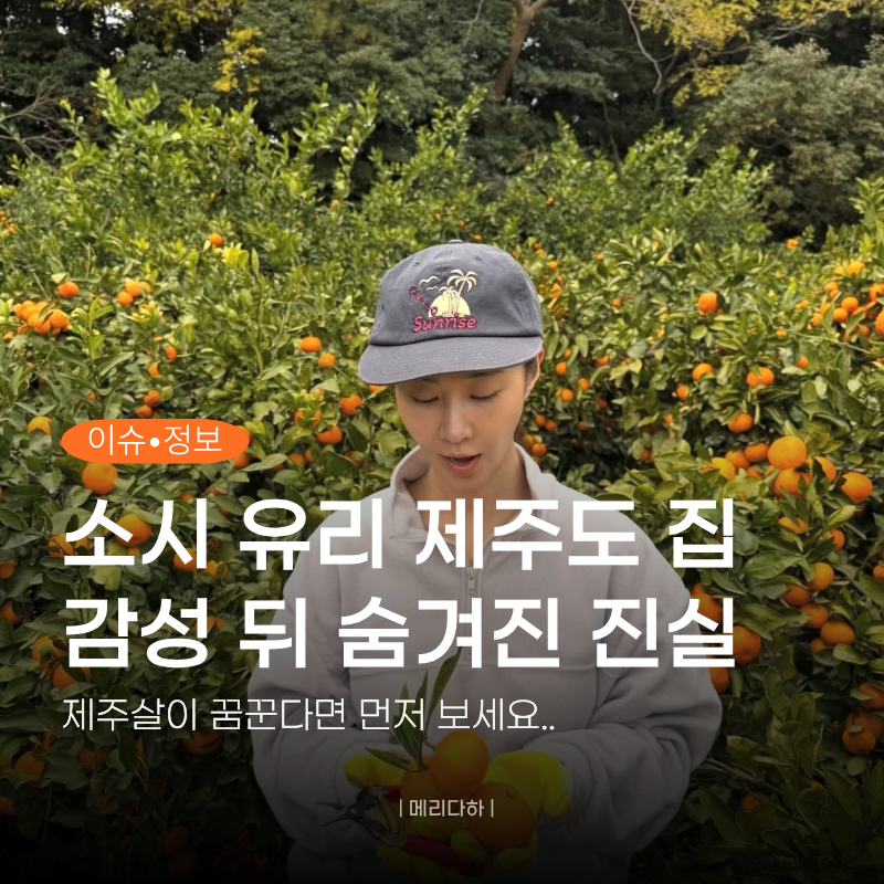 230억 건물주 소녀시대 유리, 제주도 집에서 비명 지른 이유… 벽에 생긴 “이것”