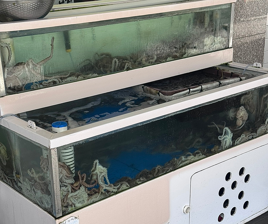 김가네낙지전문점 사진 2