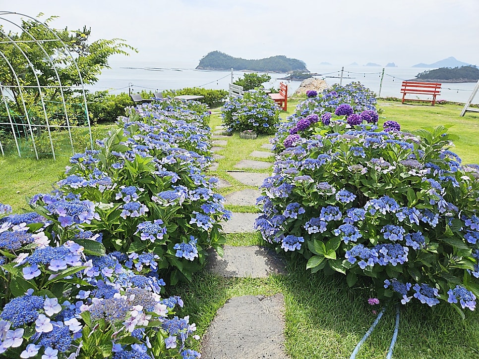 해비치 사진 6