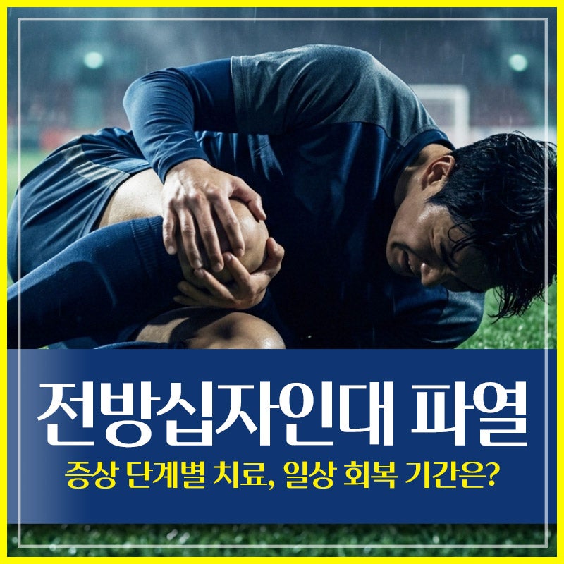 전방십자인대 파열 증상 단계별 치료, 일상 회복 기간은?