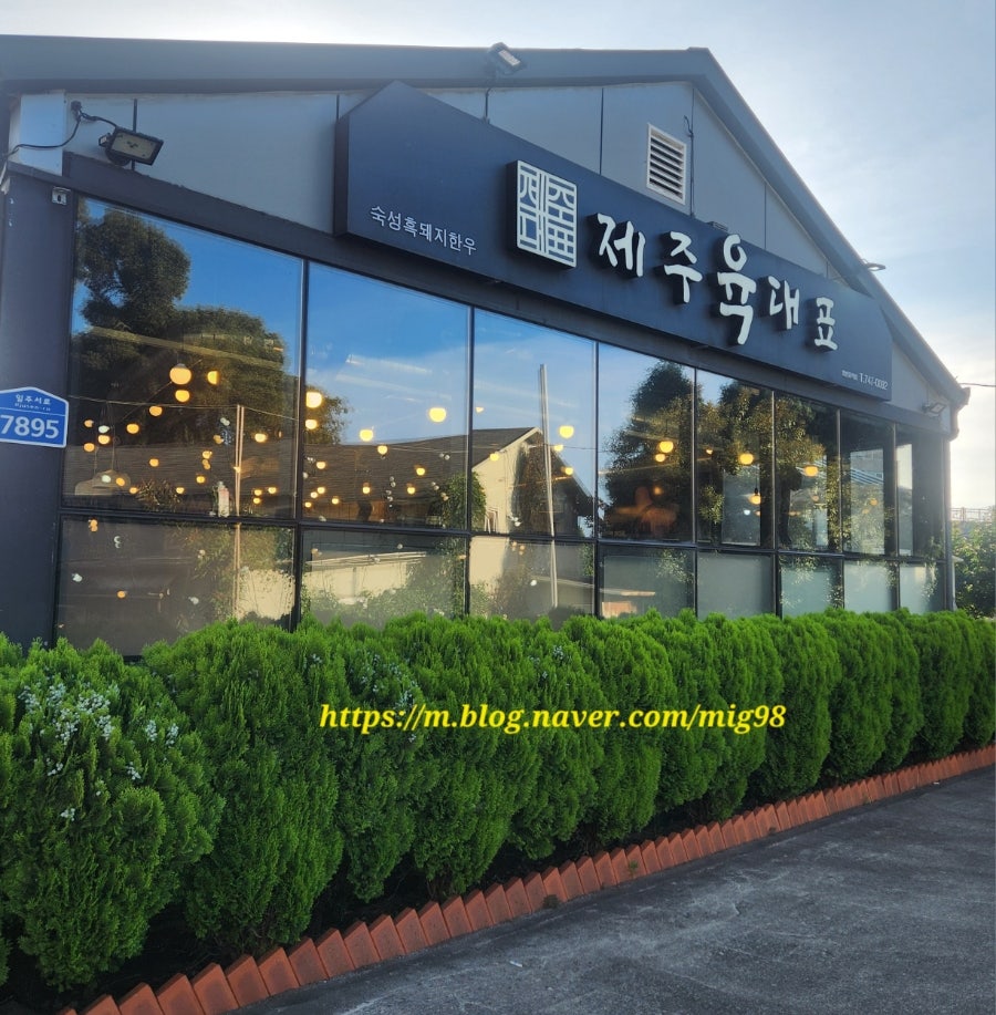 제주육대표 사진 3