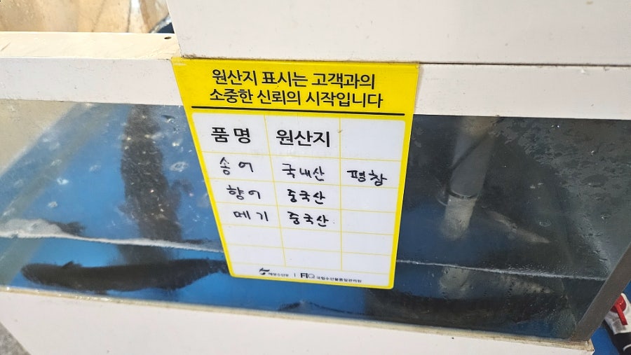 송암골평창송어 춘천본점 사진 6