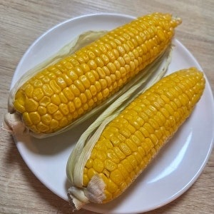 초당옥수수 맛있게 찌는법 3가지 (+옥수수 삶는법 뉴슈가 압력밥솥 냄비 시간 비율)