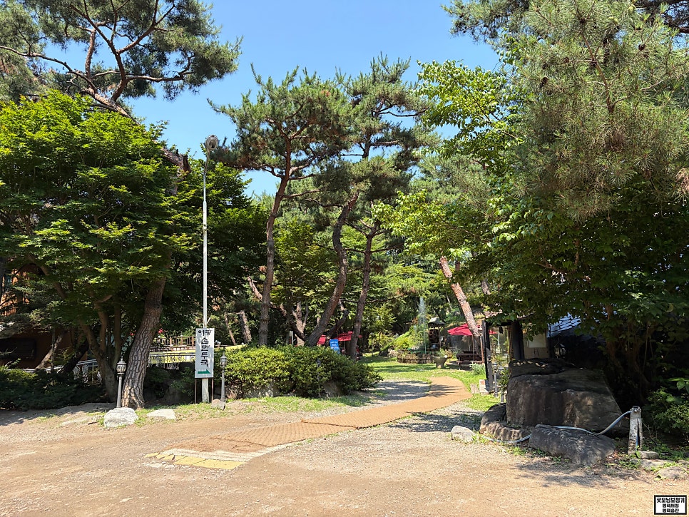 어랑손만두국 사진 1