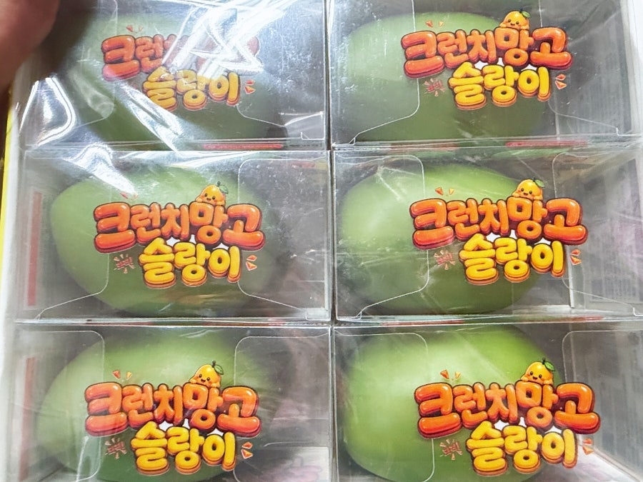 도로시 사진 4