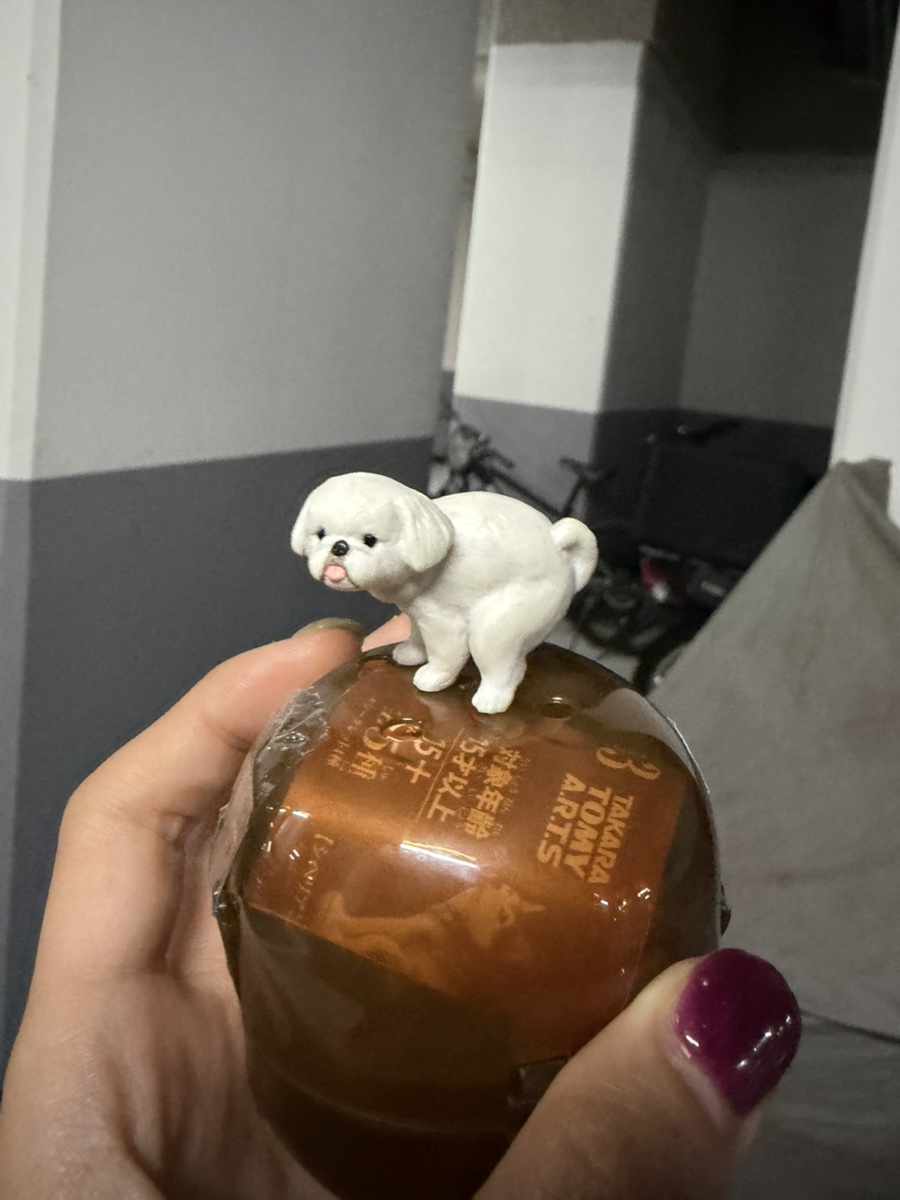 강아지숲 강아지숲박물관 사진 2