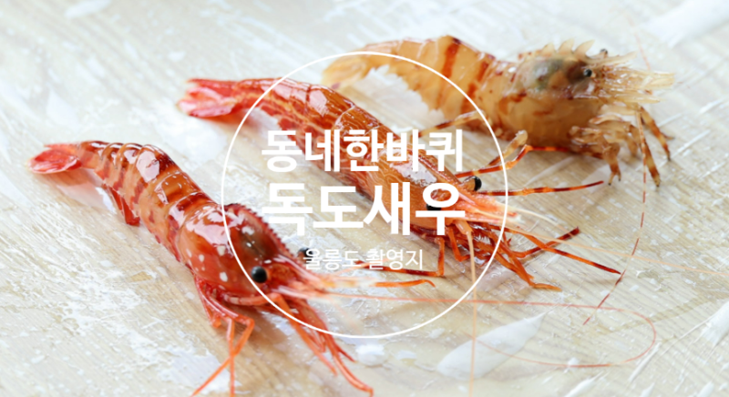 [동네한바퀴] 울릉도 독도새우횟집 섭국먹물오징어전 엉겅퀴명이빵 저동항 350년후박나무 천....