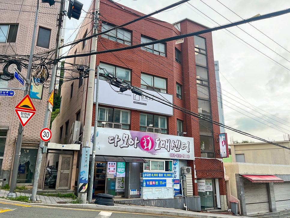 다모아 사진 1