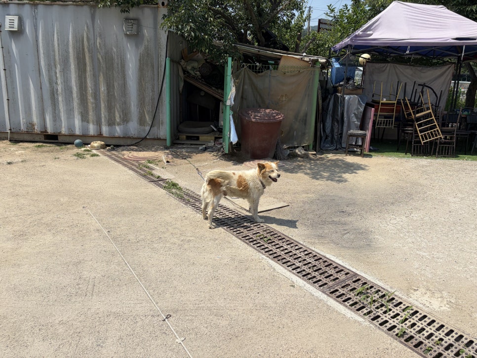 다솔가든 사진 3