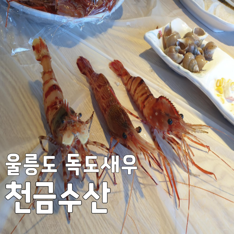 [울릉도 천금수산] 동네한바퀴 독도새우 맛집 주차 위치 포장 정보 총정리