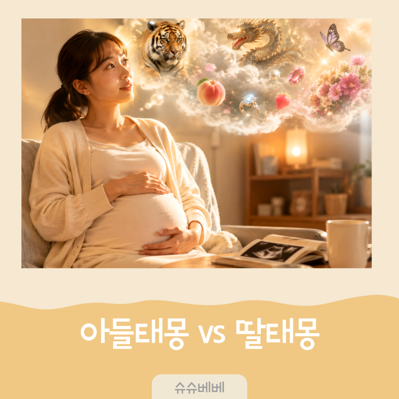 아들 태몽 vs 딸 태몽, 꿈 한 방으로 결정된다고? 선배맘들이 말하는 태몽의 정체