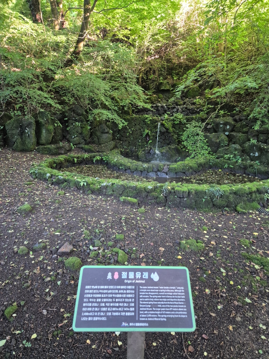 사방팔방 사진 1