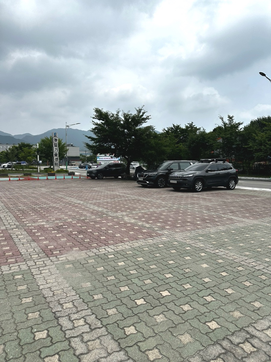 춘천막국수체험박물관 사진 2