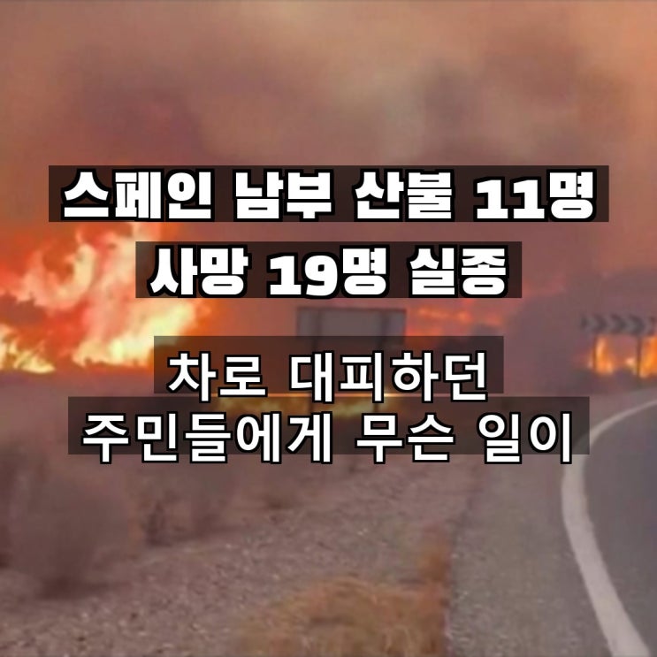 스페인 남부 <b>산불</b> 11명 사망 19명 실종, 차로 <b>대피</b>하던... 