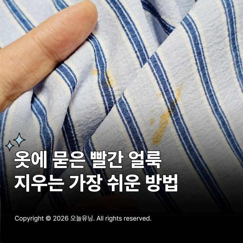 떡볶이 국물 지우기 옷 빨간 얼룩 제거 방법