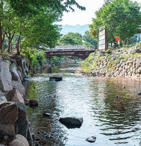 송추밤나무 사진 3