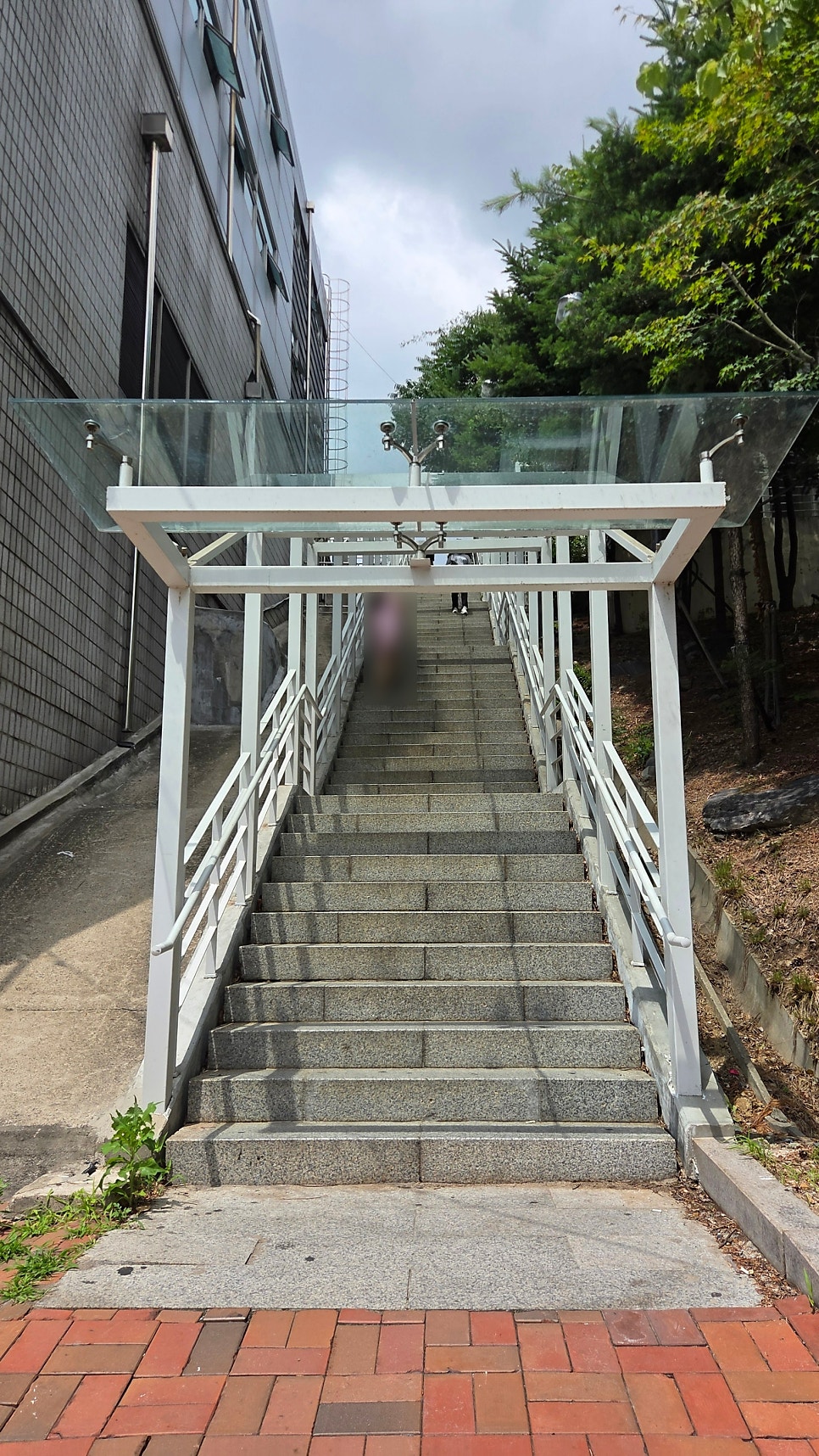 리틀넥 한남 사진 3