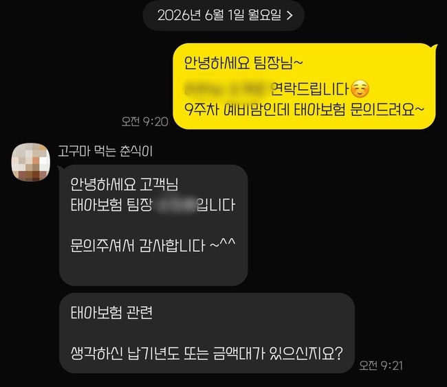 #13. 전직 보험회사 직원이 선택한 (내돈내산, 광고x)
