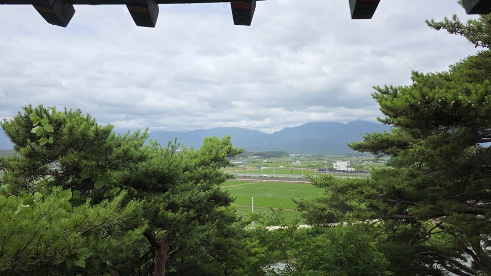 구정막국수 강릉점 사진 1