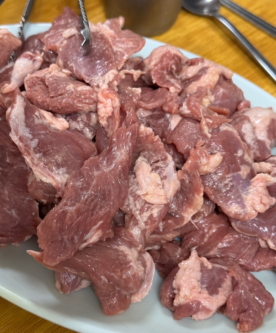부산갈매기 사진 5