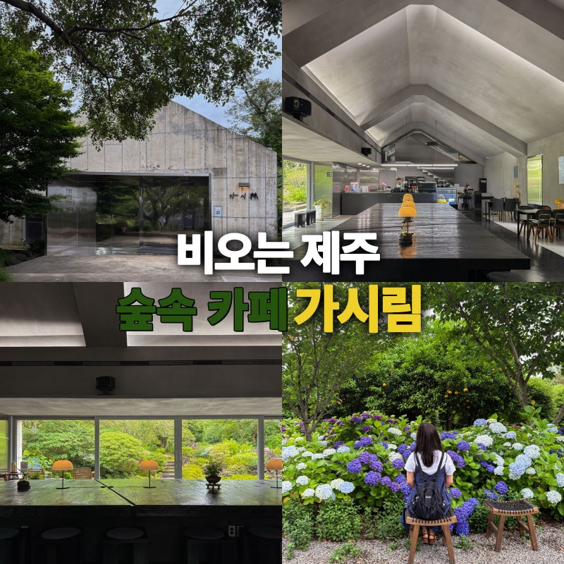 제주 동쪽 카페 추천, 수목원 산책까지 가능한 가시림카페