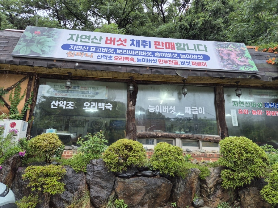 심마니오리백숙 사진 2