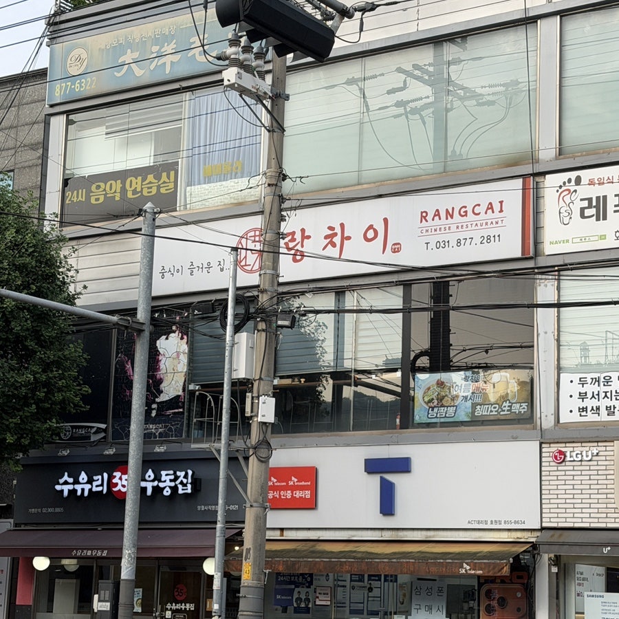 랑차이 사진 2